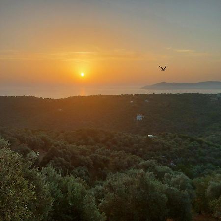 Villa Amfithea Moni Evaggelistrias Dış mekan fotoğraf
